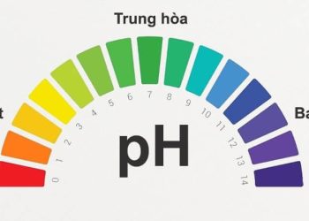 Độ pH của nước là gì? pH bao nhiêu là tốt cho sức khỏe?