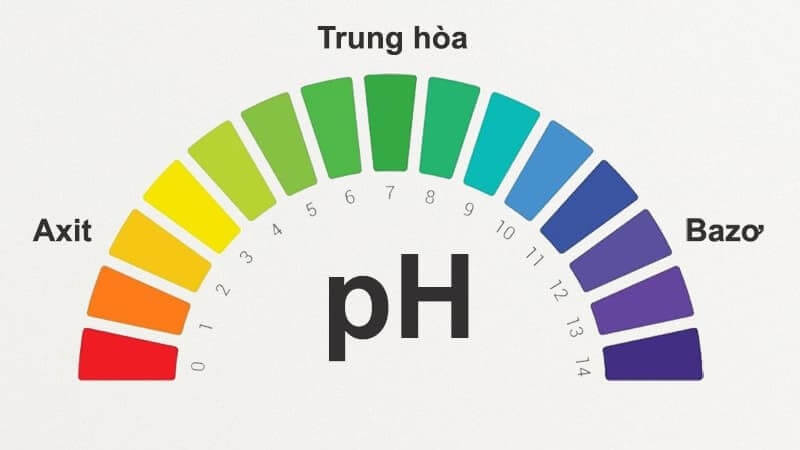 Độ pH của nước giúp xác định mức độ axit hoặc kiềm trong nước