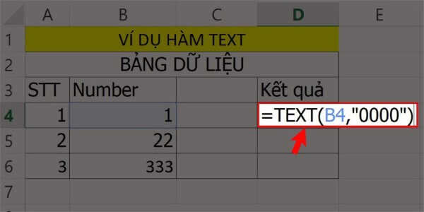 Cách thêm số 0 ở phần đầu dữ liệu