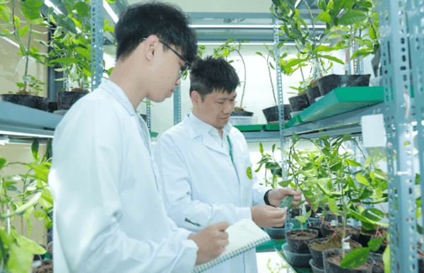 Chi tiết điểm chuẩn theo các phương thức khác