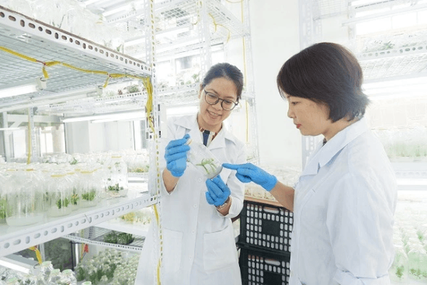 Ngành Sư phạm Công nghệ có mức cạnh tranh cao