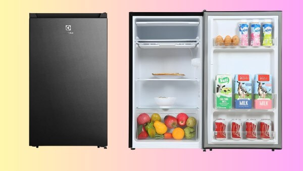 Các đặc trưng của tủ lạnh 1 cánh dung tích lớn