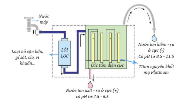 Chi tiết cấu tạo của tấm điện cực trong máy ion kiềm
