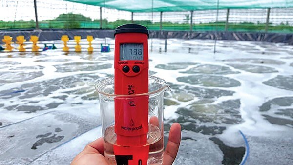 Những ứng dụng của PPM trong đời sống