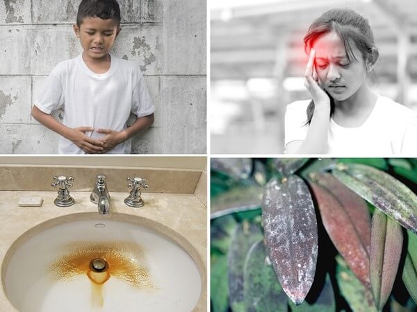 Những tác hại xấu khi sử dụng nước nhiễm sắt