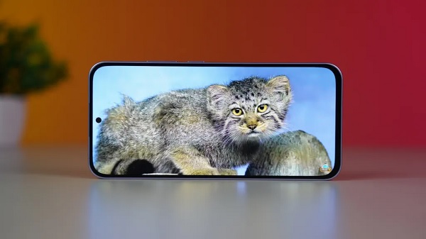 Màn hình OLED chất lượng cao