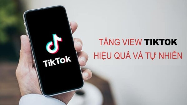 Những lý do Zefoy được nhiều người dùng tìm kiếm
