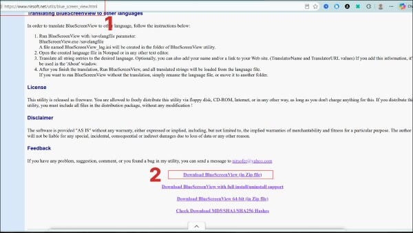 Tải phiên bản BlueScreenView phù hợp với hệ điều hành về máy