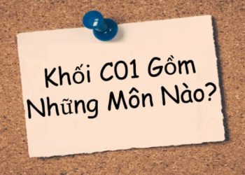 C01 gồm những ngành nào? Học gì, làm nghề gì, cơ hội việc làm ra sao?