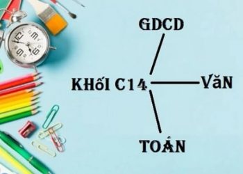 C14 gồm những ngành nào? Học gì, làm nghề gì, cơ hội việc làm ra sao?