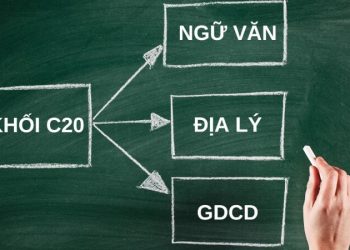 C20 gồm những ngành nào? Học gì, làm nghề gì, cơ hội việc làm ra sao?