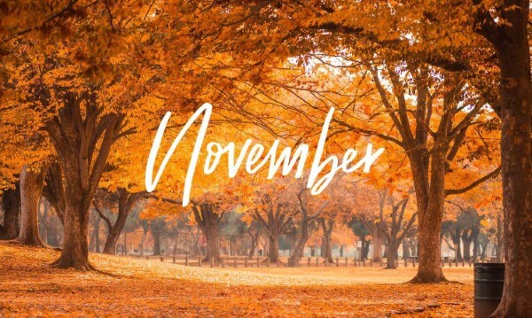 Tháng 11 - November xuất phát từ từ "Novem"