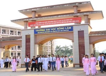 Điểm chuẩn Đại học Nông Lâm Thái Nguyên (TUAF) 2025 mới nhất – Chi tiết theo từng ngành