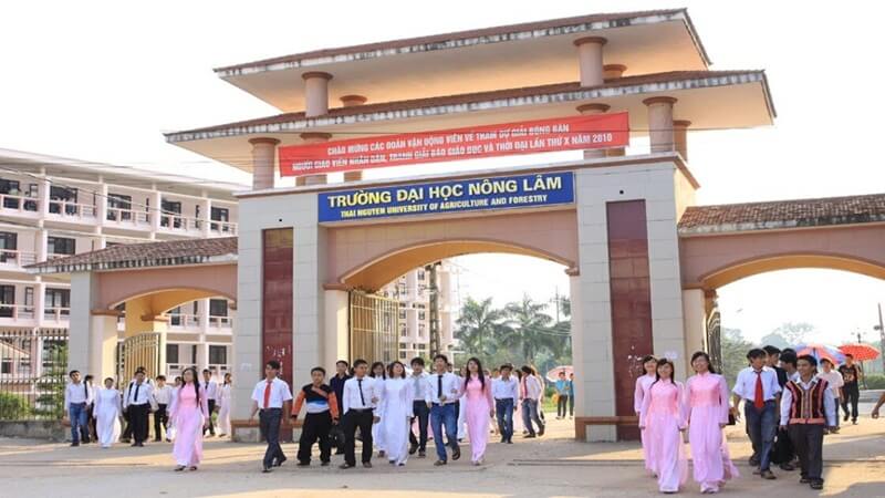 Điểm chuẩn theo phương thức xét kết quả kỳ thi tốt nghiệp THPT