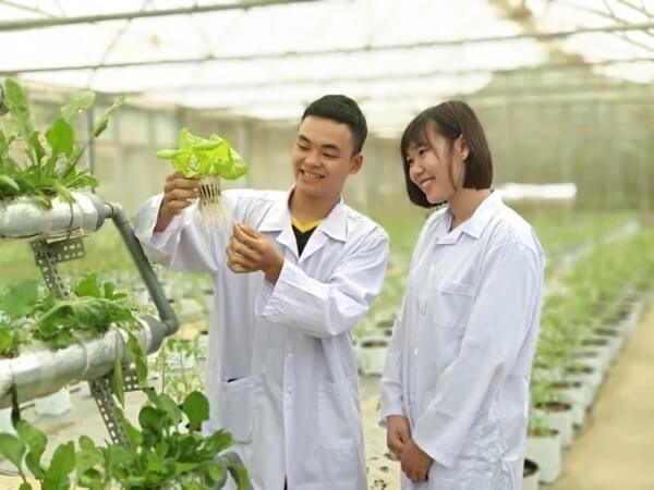 Điểm chuẩn trong năm 2025 không có nhiều thay đổi so với năm trước