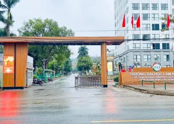 Điểm chuẩn Trường đại học Lâm nghiệp 2025 mới nhất – Chi tiết theo từng ngành