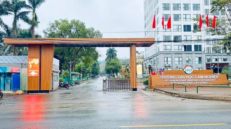 Điểm chuẩn 2025 Đại học Lâm nghiệp theo kết quả kỳ thi tốt nghiệp THPT từ 15 đến 20,1 điểm