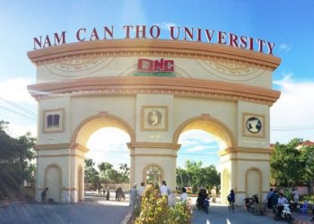 Điểm chuẩn Đại học Nam Cần Thơ (DNC) 2025 mới nhất – Chi tiết theo từng ngành