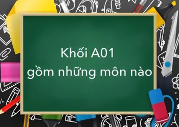 A01 gồm những ngành nào? Học gì, làm nghề gì, cơ hội việc làm ra sao?