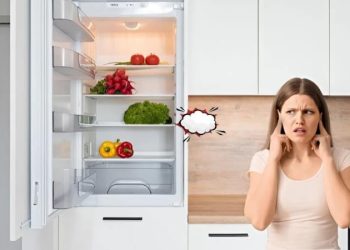 Tủ lạnh ngăn mát không lạnh: Nguyên nhân và cách sửa nhanh