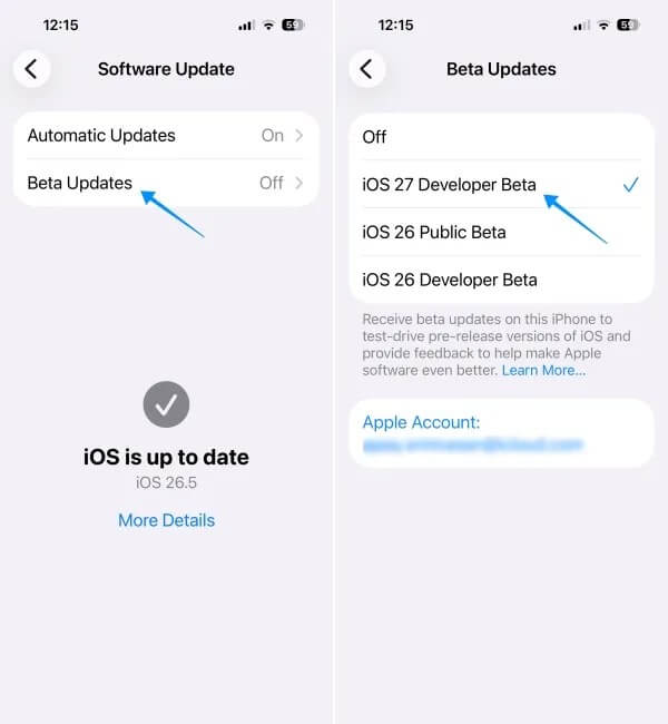 Nhấn Cập nhật phần mềm → Chọn Beta Updates