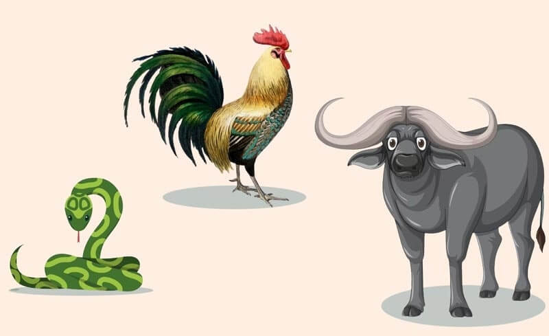 Người tuổi Sửu nằm trong nhóm Tam hợp Tỵ - Dậu - Sửu