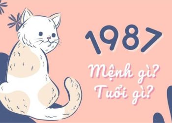 Sinh năm 1987 hợp màu gì? Giải mã màu may mắn tuổi Đinh Mão năm 2027