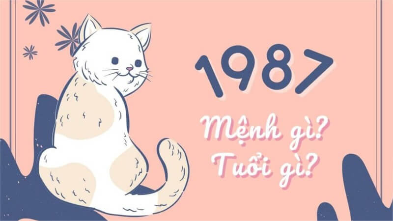 Người sinh năm 1987 là tuổi Đinh Mão và thuộc mệnh Hỏa