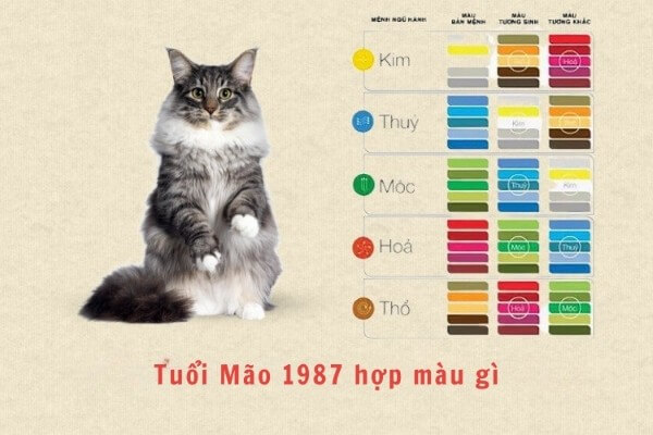 Nhóm màu thuộc hành Hỏa hợp với người sinh năm 1987 gồm đỏ, hồng, cam và tím