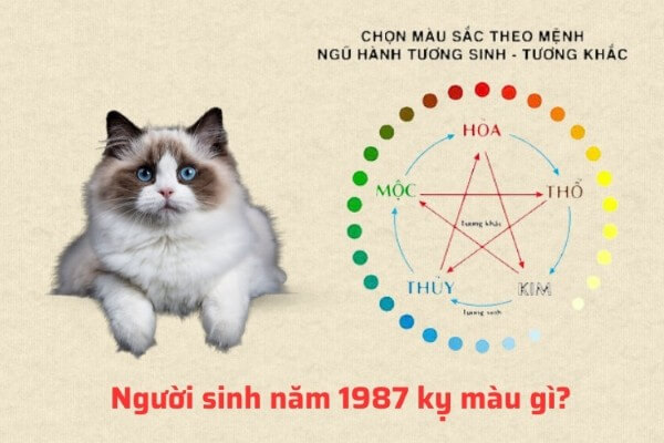 Một số màu nên tránh với người sinh năm 1987