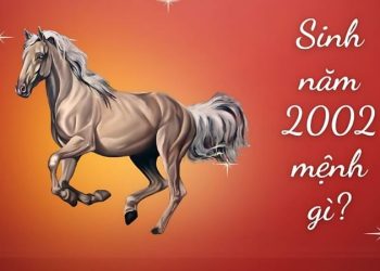 Sinh năm 2002 hợp màu gì? Giải mã màu may mắn tuổi Nhâm Ngọ năm 2027
