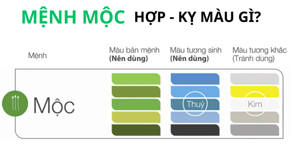 Những màu kỵ với người sinh năm 2002