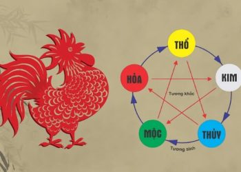 Sinh năm 2005 hợp màu gì? Giải mã màu may mắn tuổi Ất Dậu năm 2027