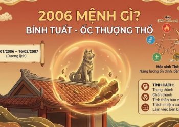 Sinh năm 2006 hợp màu gì? Giải mã màu may mắn tuổi Bính Tuất năm 2027