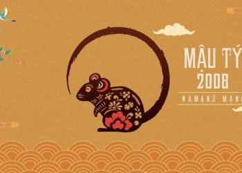 Sinh năm 2008 hợp màu gì? Giải mã màu may mắn tuổi Mậu Tý năm 2027