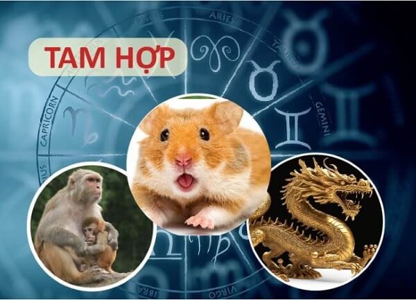 Bộ Tam hợp Thân – Tý – Thìn