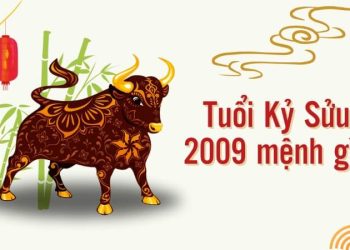 Sinh năm 2009 hợp màu gì? Giải mã màu may mắn tuổi Kỷ Sửu năm 2027