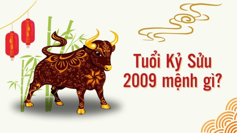 Người sinh năm 2009 là tuổi Kỷ Sửu, thuộc mệnh Hỏa