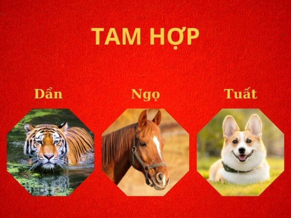 Những tuổi hợp với người tuổi Canh Dần 2010