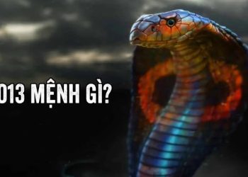 Sinh năm 2013 hợp màu gì? Giải mã màu may mắn tuổi Quý Tỵ năm 2027