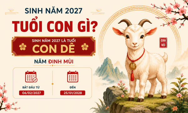 Dự đoán năm 2027 của người sinh năm 2015 Ất Mùi