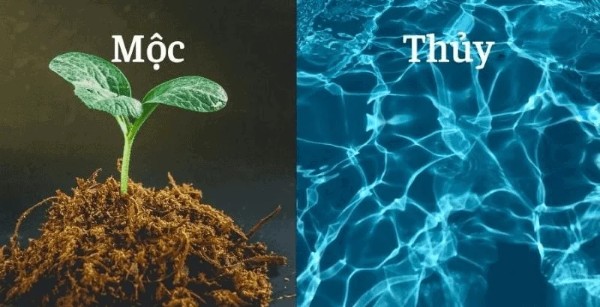 Mệnh Thiên Hà Thủy tương sinh với mệnh mộc