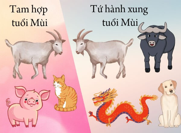 Những tuổi hợp và khắc của người tuổi Đinh Mùi 2027