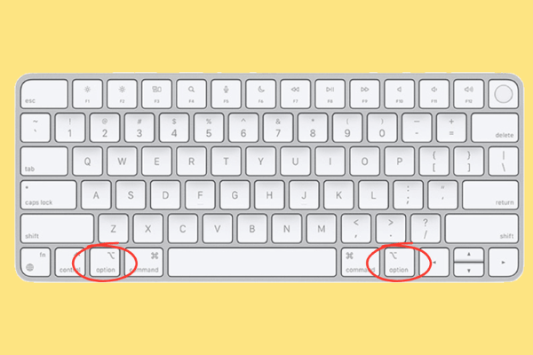 Vị trí ký hiệu ⌥ hoặc dòng chữ Option trên bàn phím