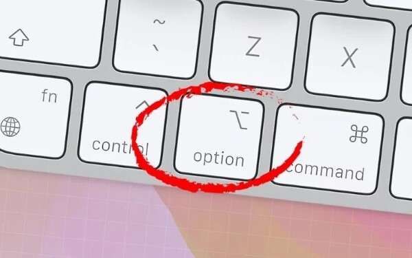 Option có thể sử dụng kết hợp với thao tác nhấp chuột 