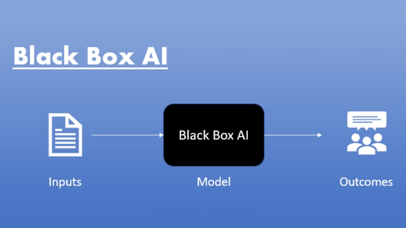Blackbox có khả năng tìm kiếm giải pháp lập trình theo thời gian thực