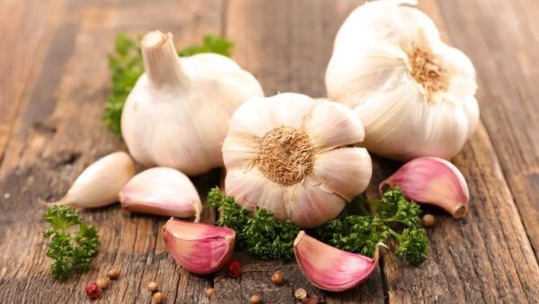 Dùng gia vị có mùi mạnh như tỏi, ớt, tiêu, giấm để đuổi chuột 