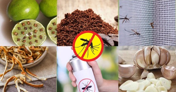 Người dùng nên kết hợp nhiều biện pháp để tăng hiệu quả đuổi muỗi