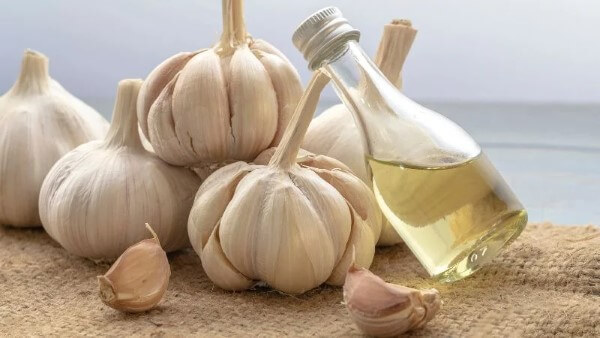 Bóc vài tép tỏi, đập dập nhẹ đặt gần cửa sổ hoặc những khu vực có nhiều muỗi 