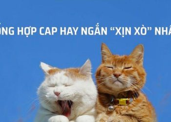 100+ Cap hay ngắn vui nhộn nhất cho mọi dịp